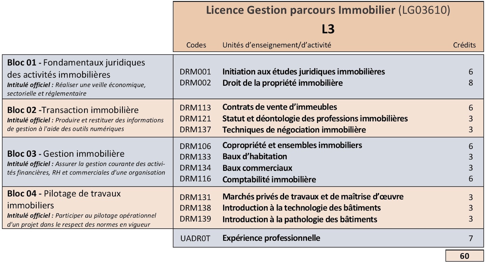 programme L3 Gestion parcours Immobilier